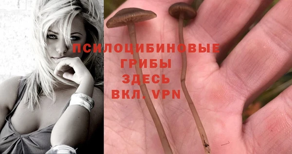 герыч Аркадак