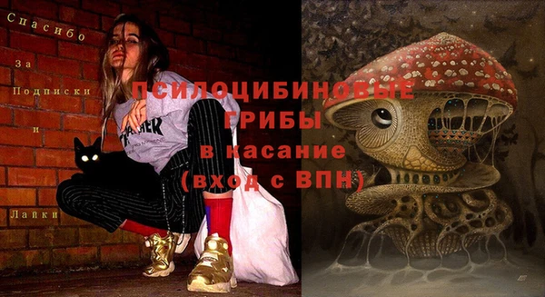 дживик Балабаново