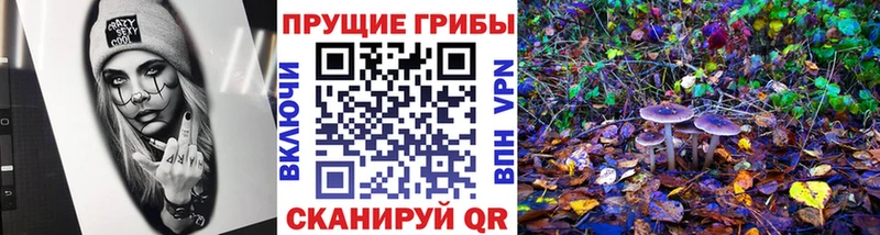 Псилоцибиновые грибы ЛСД  Стародуб 